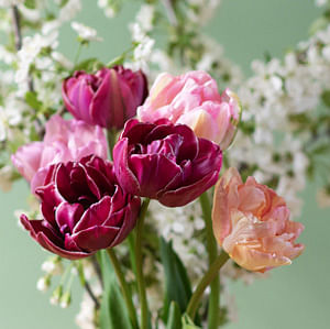 How to create a bouquet from your own cutting garden
