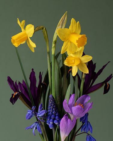 Hello Spring Collection