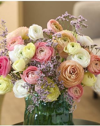Ranunculus amandine Pastel