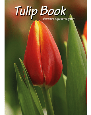 The Tulip Book