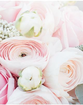 Ranunculus amandine Pastel Wedding