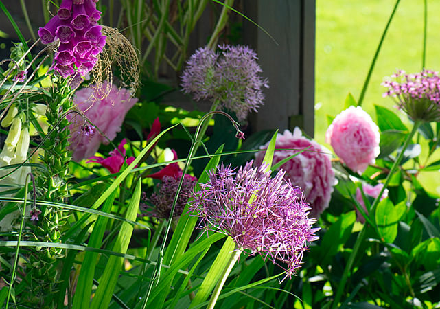 Sustainable Gardening Sustainable Gardening