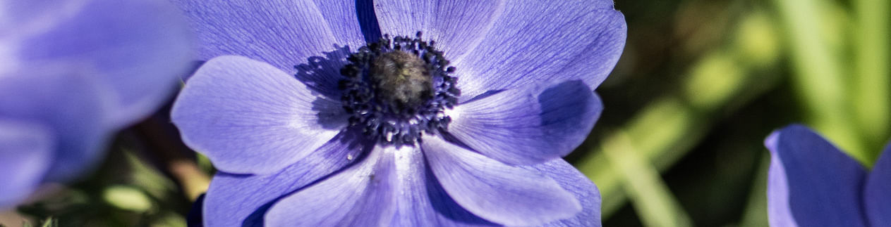 Our Top 10 Spring Picks Our Top 10 Spring Picks