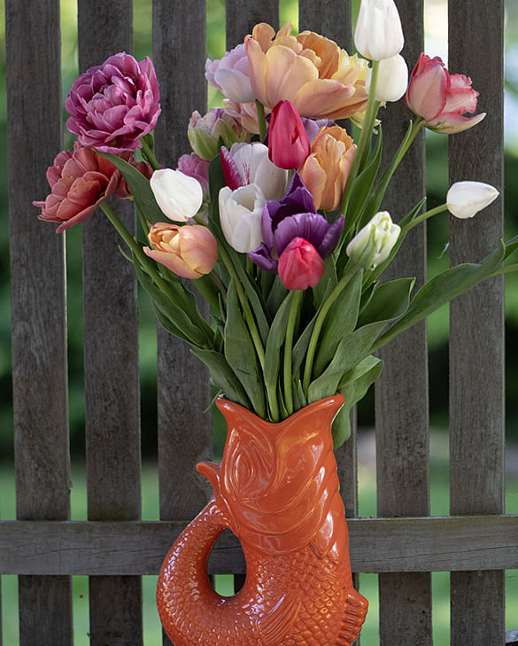 Mixed tulips for cutting